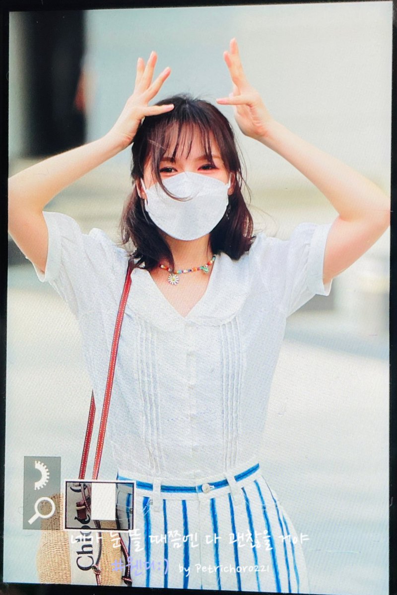 페트리코 tweet media