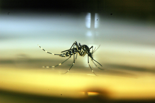 MediLabSecure tweet media