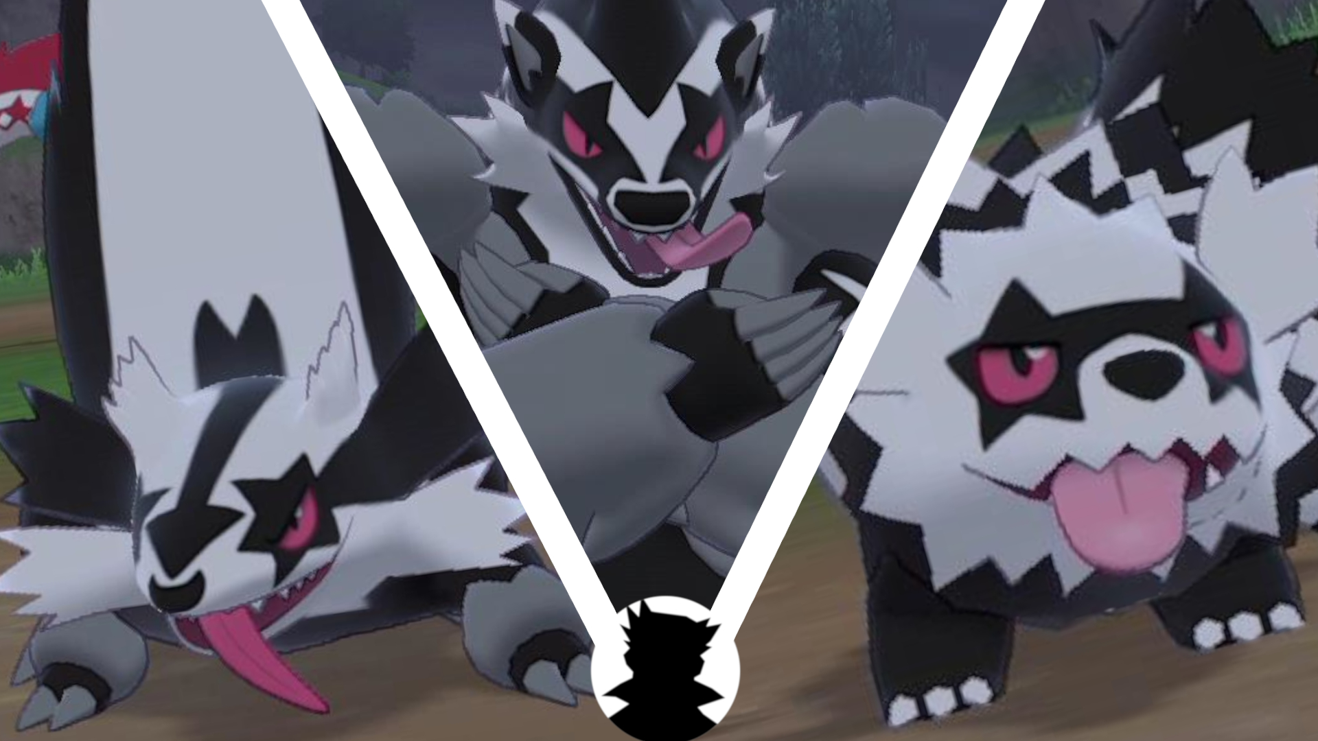 オオキド研究所 ポケモンキャンプリサーチ ジグザグマ マッスグマ ガラルのすがた タチフサグマ 色違い T Co Mxbrjjandg ポケモン 色違いポケモン ポケモン剣盾 T Co Nvvlomhsnl Twitter