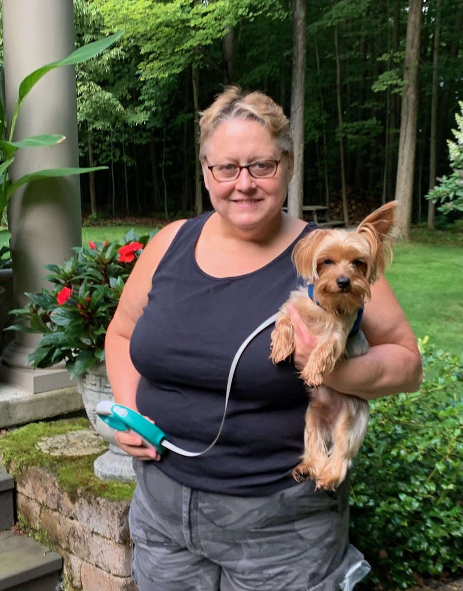 Save A Yorkie Rescue tweet media