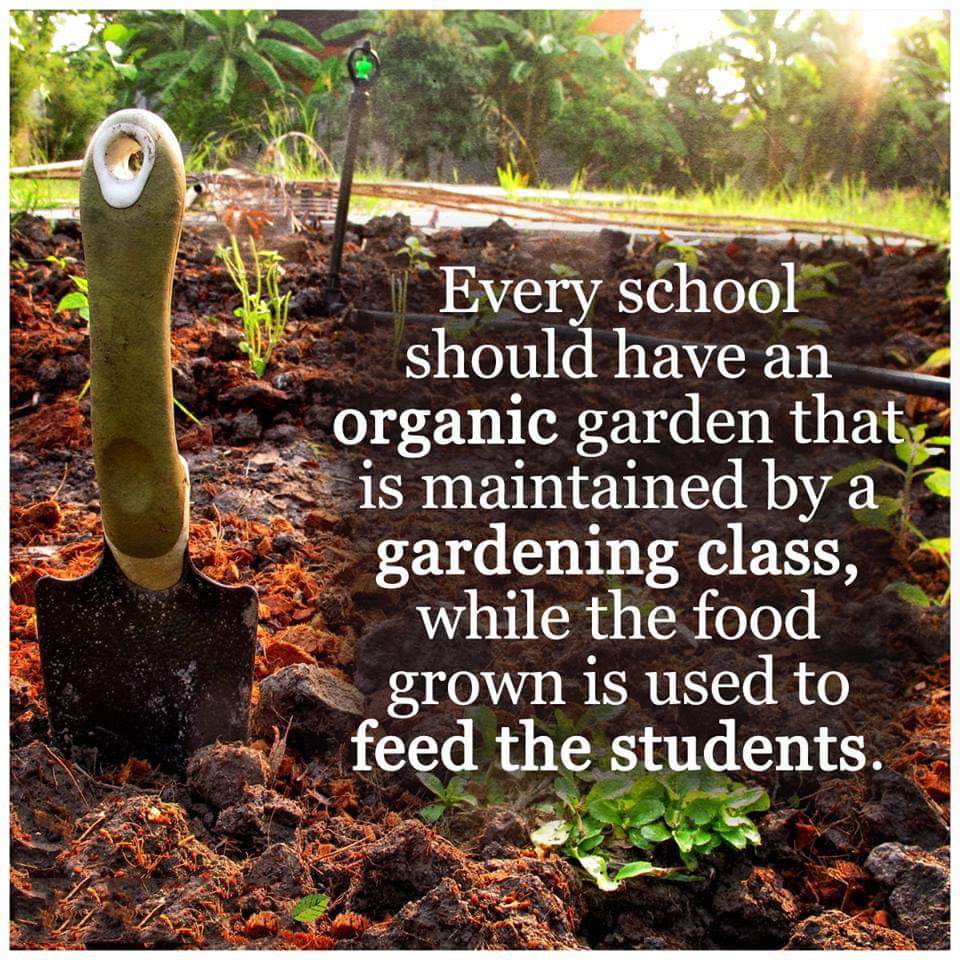 BS_Shd_Mian's tweet photo. What a good Idea that students could learn planting information at school.
@ImranKhanPTI
#آؤ_شجرکاری_کریں
#MonsoonTreePlantation #10BillionTreeTsunami #Plant4Pakistan21
#Plant4Pakistan https://t.co/OjQKrROd7T
