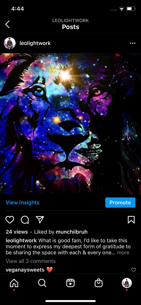 Leo Light Work tweet media