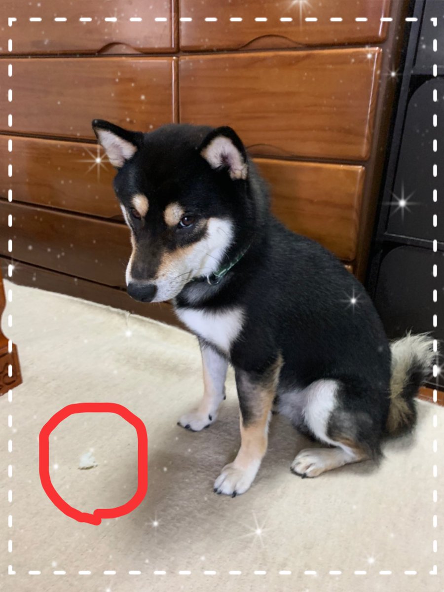 すねる すねる