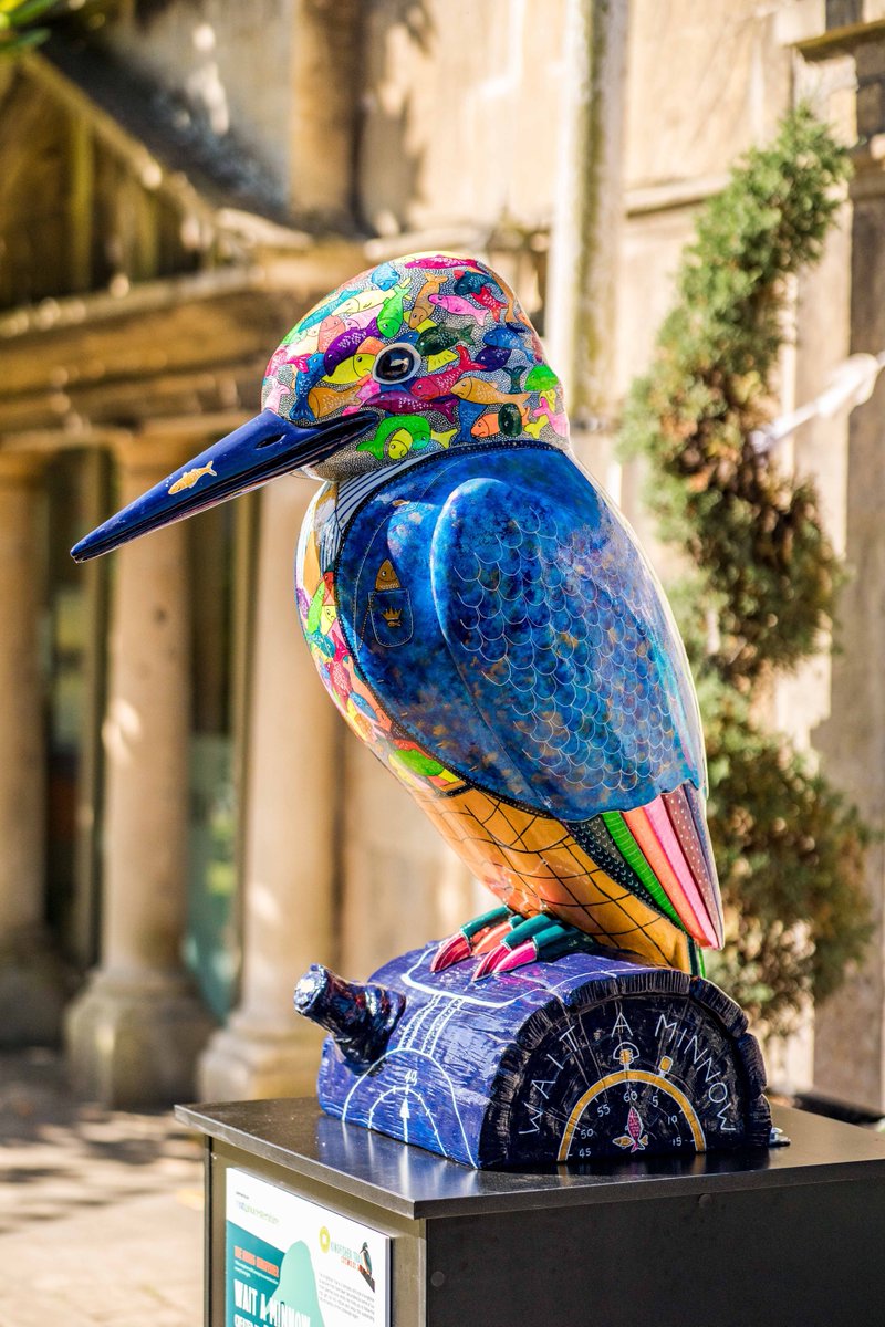 Kingfisher Trail tweet media