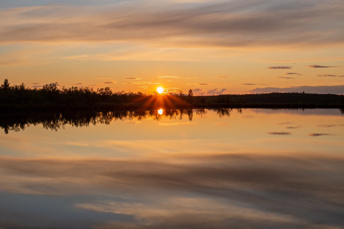 Summer nights 🧡

Even though the midnight sun is over, there is still plenty of light at night. 

Here are some impressions from Kevo Strict Nature Reserve taken between 10pm and midnight. 🌅 #lapland #landscapephotography #utsjoki