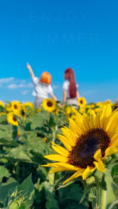 コスプレイヤーなぎのTwitter画像37