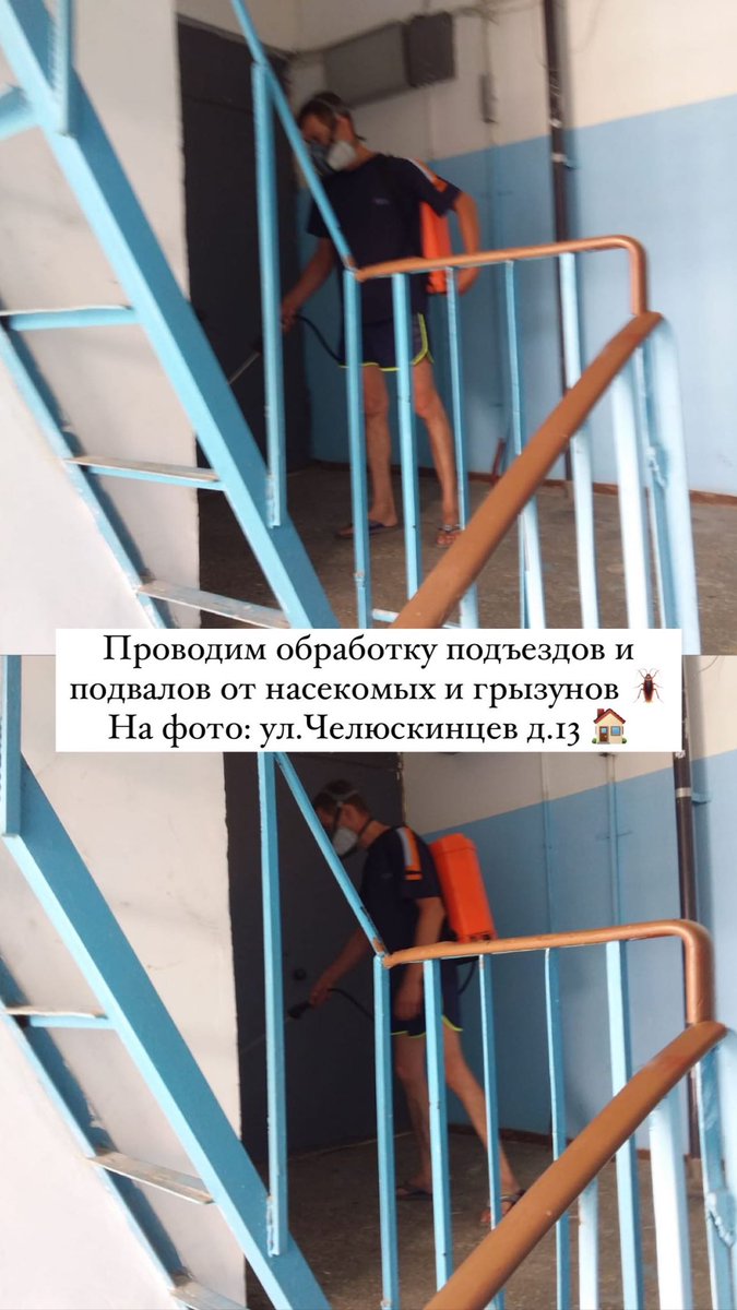 Обработка МОПов и подвальных помещений от насекомых и грызунов 🪳
