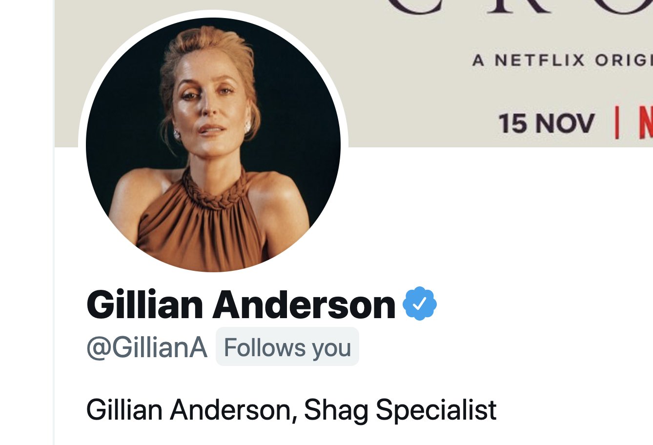 Happy birthday to the one and only Gillian Anderson, Shag Specialist. 