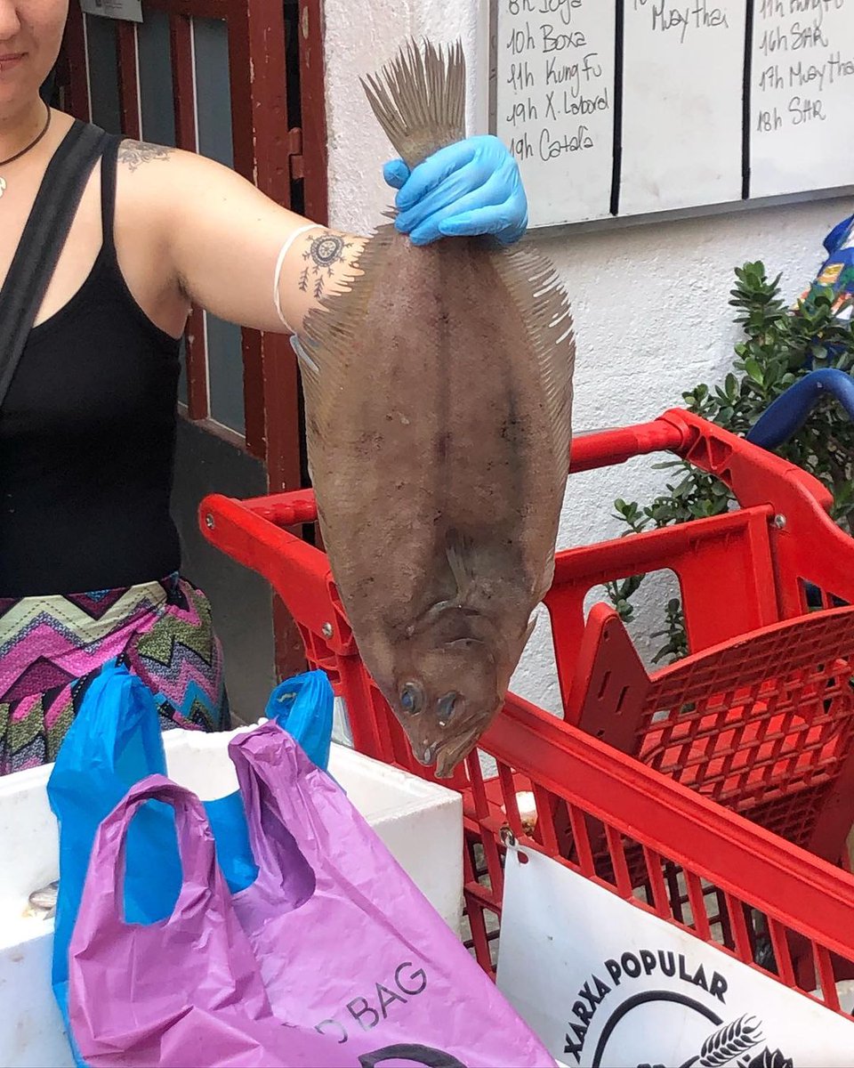 🔻La Xarxa Popular d'Aliments del Raval no s'atura ni a l'agost: cada dissabte l'Antiga Massana és el centre d'operacions on socialitzem els aliments que col·lectivitzem gràcies a les nostres brigades de reciclatge, donacions, petit comerç del Raval i paradistes de la Boqueria.🤝