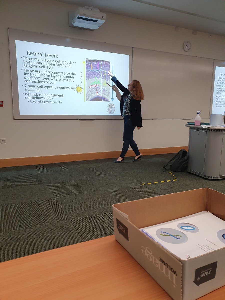 Ocular Pharmacology (@opgg_ucd) on Twitter photo Day 1 of the UCD Inherited Blindness Summer School is off to a fantastic start with an excellent introductory lecture from <a href="/Tig_Irl/">Alison Reynolds</a> on "What is inherited blindness?"
Stay tuned to see what we will be getting upto during the week 🔬👁 <a href="/BreandanKennedy/">Breandán Kennedy UCD</a> <a href="/UCD_SBBS/">UCD SBBS</a> <a href="/fight_blindness/">Fighting Blindness</a> Day 1 of the UCD Inherited Blindness Summer School is off to a fantastic start with an excellent introductory lecture from <a href="/Tig_Irl/">Alison Reynolds</a> on "What is inherited blindness?"
Stay tuned to see what we will be getting upto during the week 🔬👁 <a href="/BreandanKennedy/">Breandán Kennedy UCD</a> <a href="/UCD_SBBS/">UCD SBBS</a> <a href="/fight_blindness/">Fighting Blindness</a>