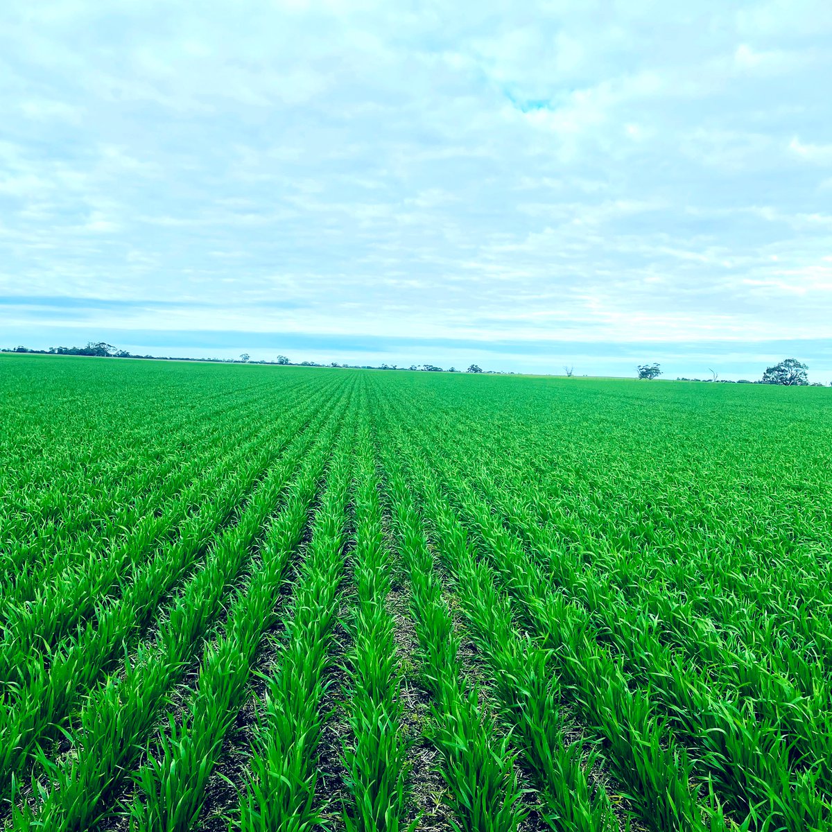 Jade Clark tweet media