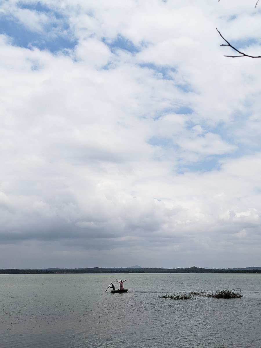thinkbigh's tweet photo. Meenakshipura 🐟🐠🐟 ! #krsdam #krsbackwaters #cauvery #rivercauvery https://t.co/Bu9BVE36sI
