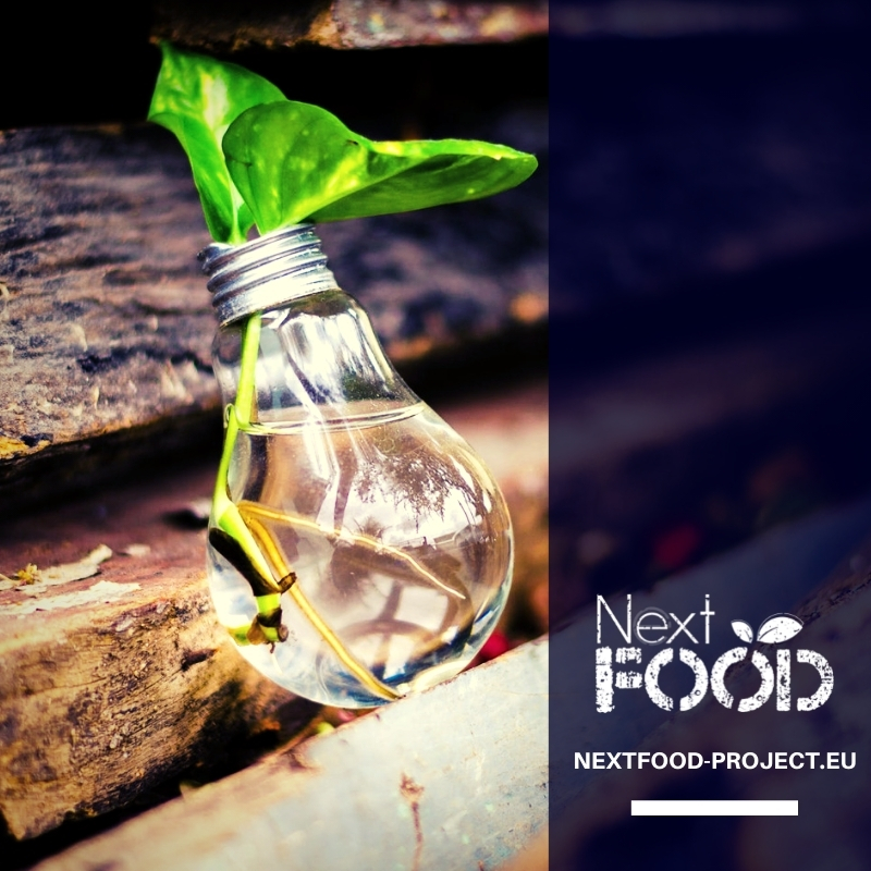 On-line Webinar by Agronutritional Cooperation of the Region Central Macedonia: “Impact of European programmes in the Reinforcement of the competitiveness and extroversion of SMEs”
nextfood-project.eu/on-line-webina…

#nextfood #h2020