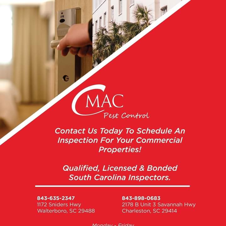 CmacPest's tweet image. 