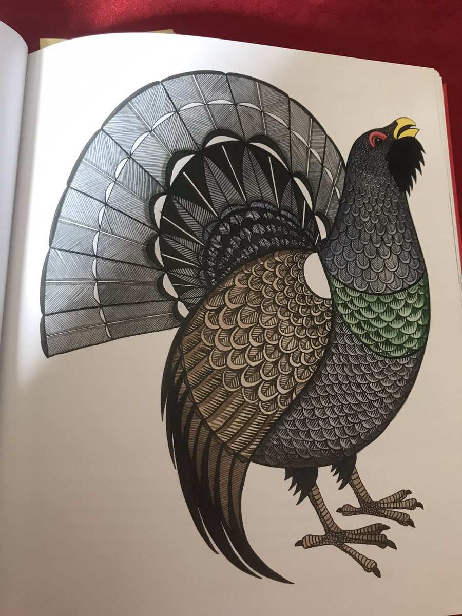 DavidSinclair12's tweet image. What I am reading today on #BookLoversDay - Red Sixty Seven. Highlighting the plight of our native birds. Feel lucky to have seen 64/67 in the UK. #BTO #RedSixtySeven