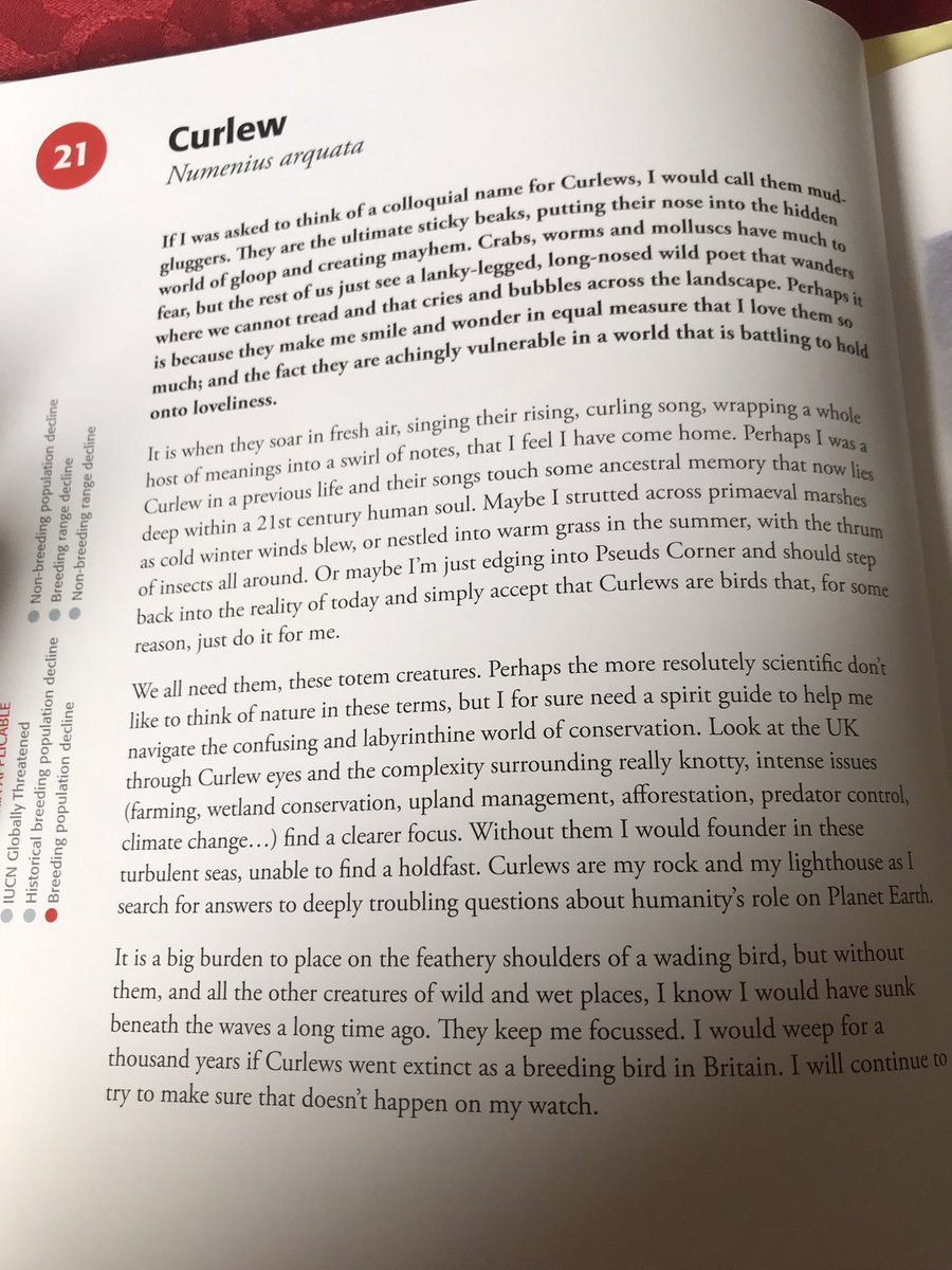 DavidSinclair12's tweet image. What I am reading today on #BookLoversDay - Red Sixty Seven. Highlighting the plight of our native birds. Feel lucky to have seen 64/67 in the UK. #BTO #RedSixtySeven
