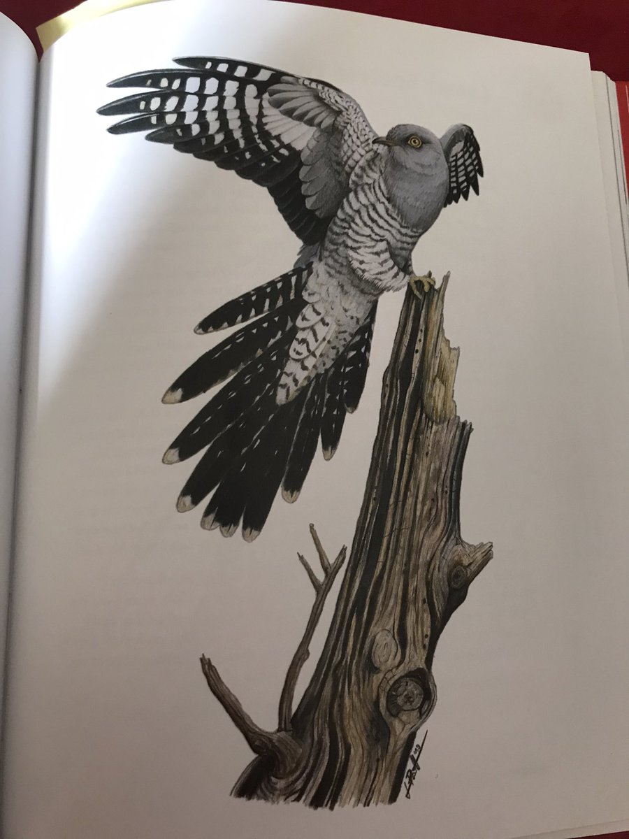 DavidSinclair12's tweet image. What I am reading today on #BookLoversDay - Red Sixty Seven. Highlighting the plight of our native birds. Feel lucky to have seen 64/67 in the UK. #BTO #RedSixtySeven