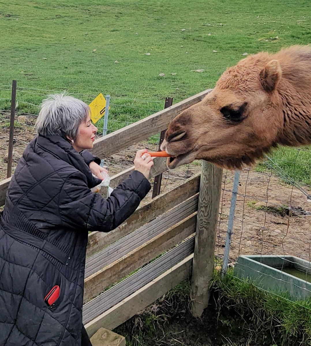 Can you support the animal rescue work of Emma Haswell and her Brightside Sanctury? It’s is an amazing charity with every animal in her ark❤️.  brightside.org.au