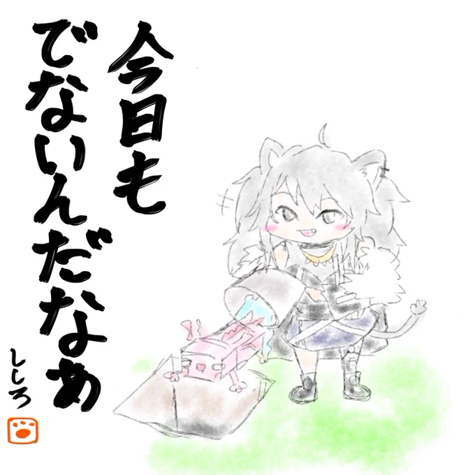 #ししらーと #ぐうたらいぶ
多分今日も出ないだろうというししらーと。 