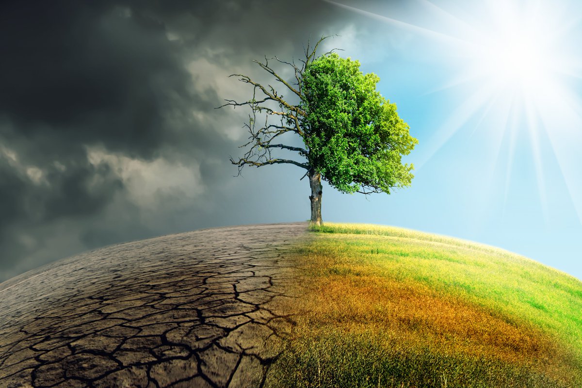 IPCC REPORT - WE CONTINUE TO DESTROY THE PLANET AND IT IS TIME TO STOP IT! Read here - bit.ly/3lM6hRt #ClimateEmergency #humanitariancrisis #timetoact #savetheplanet