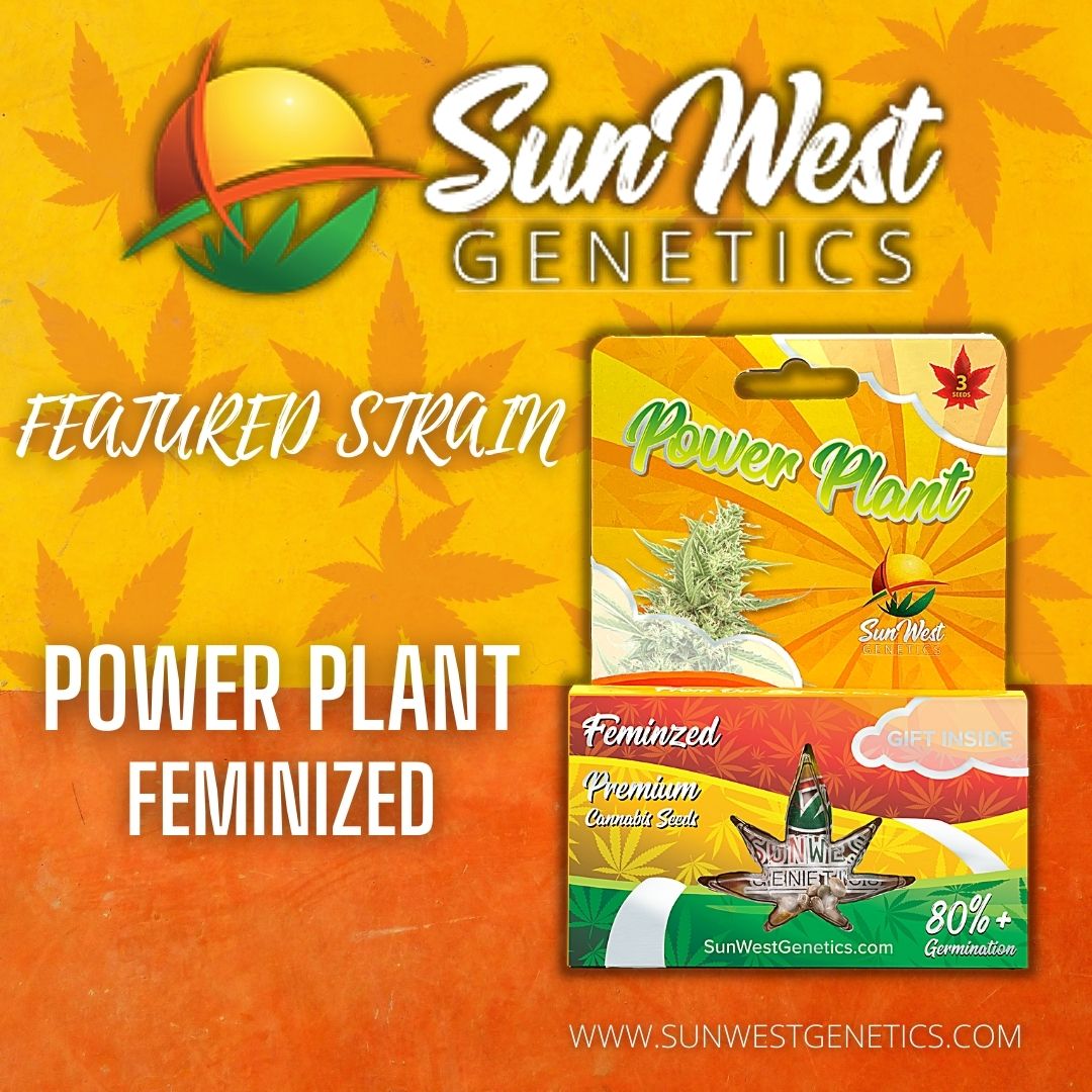 Sun West Genetics tweet media