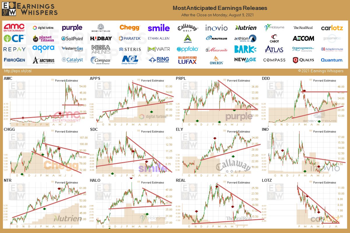 #earnings after the close 

eps.sh/cal 

$AMC $APPS $PRPL $DDD $CHGG $SDC $ELY $INO $NTR $HALO $REAL $LOTZ $CF $PLNT $SAIL $HBM $PRTK $ETH $ADMS $NLS $CBT $AEMD $ACM $GOSS $WES $RPAY $API $MESA $WTRH $STE $APPF $BARK $DOOR $FGEN $ADAP $ORGO $ATCO $ARCT $CMP $NGL $LU
