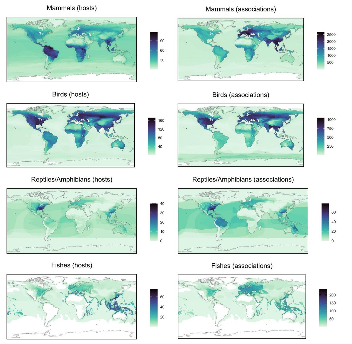 The Verena Institute (@viralemergence) on Twitter photo ⚠️ New preprint: The most detailed snapshot of animal viruses ever assembled is now completely open-source & open-access. <a href="/wormmaps/">the birthday boy</a> and the <a href="/viralemergence/">The Verena Institute</a> team present "The Global Virome in One Network (VIRION): an atlas of vertebrate-virus associations"
biorxiv.org/content/10.110… ⚠️ New preprint: The most detailed snapshot of animal viruses ever assembled is now completely open-source & open-access. <a href="/wormmaps/">the birthday boy</a> and the <a href="/viralemergence/">The Verena Institute</a> team present "The Global Virome in One Network (VIRION): an atlas of vertebrate-virus associations"
biorxiv.org/content/10.110…