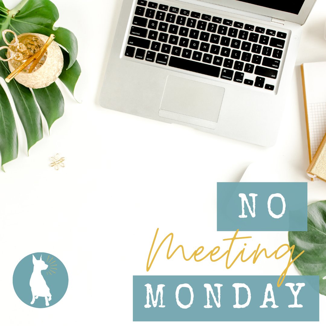 #NomeetingMonday | Share below in the comments what your work from home workspace looks like! #WFH #workfromhome