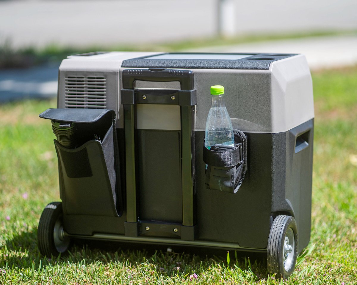 Lioncooler tweet media