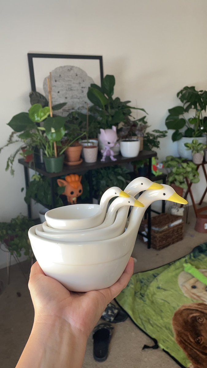 my favorite thing in my house is the measuring cups 🥺