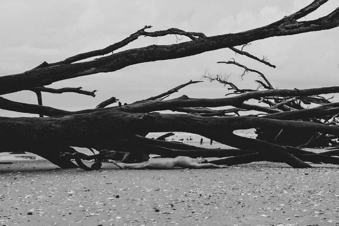 Make like a tree 🤓 📸 by Kristina Cher https://t.co/LlifEt2bkg https://t.co/drMEobutau<a href="/tag/newprofilepic"class="tags"><span>#newprofilepic</span></a>
