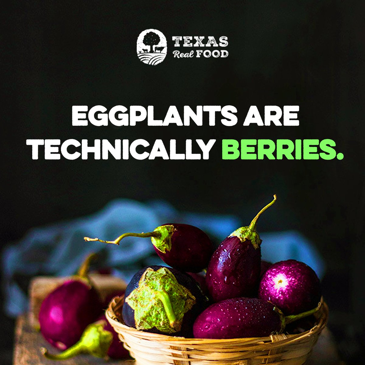 TexasRealFood tweet media