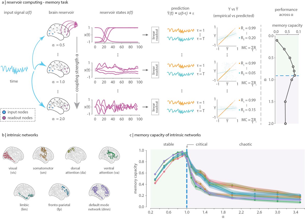 Bratislav Misic (@misicbata) on Twitter photo Learning function from structure in neuromorphic networks | nature.com/articles/s4225…
Led by @LauraESuarez24 w <a href="/g_lajoie_/">Guillaume Lajoie</a> <a href="/tyrell_turing/">Blake Richards</a>
We implement brain connectomes as artificial neural networks and train them to perform cognitive tasks
🧠➡️🖥️Follow along! <a href="/NatMachIntell/">Nature Machine Intelligence</a>⤵️ Learning function from structure in neuromorphic networks | nature.com/articles/s4225…
Led by @LauraESuarez24 w <a href="/g_lajoie_/">Guillaume Lajoie</a> <a href="/tyrell_turing/">Blake Richards</a>
We implement brain connectomes as artificial neural networks and train them to perform cognitive tasks
🧠➡️🖥️Follow along! <a href="/NatMachIntell/">Nature Machine Intelligence</a>⤵️