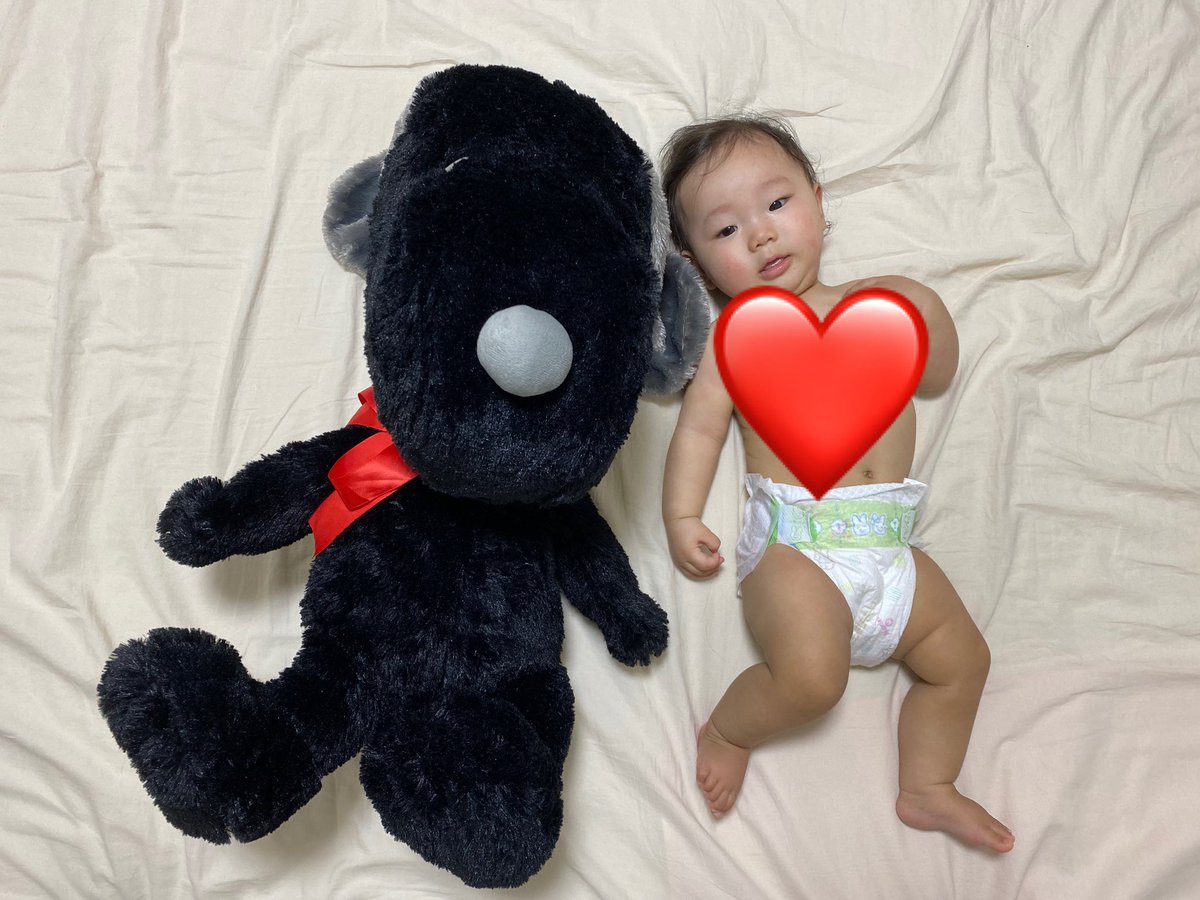 tattsun0213's tweet photo. 穂音ちゃんの成長っぷりが、、、💓

1ヶ月、3ヶ月、5ヶ月、7ヶ月！！

大きくなったね❤️ https://t.co/p7PBLadcES