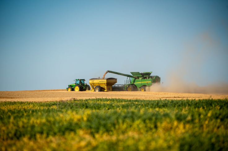 usdaRMA's tweet photo. RMA Strengthens Insurance Policies Including Dry Beans, Dry Peas and Wheat: https://t.co/QrDGglgPj6 https://t.co/Ry9nngnORI