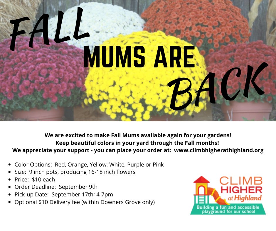 CHAHHighland's tweet photo. Nothing says 90 degree temperatures in August like ordering mums for the fall.  Get 'em while it's hot! #badumcha We @HGHuskies do pretty fundraisers for our playground! Order here: https://t.co/LofKn6MOau https://t.co/zfFzz4x9zJ