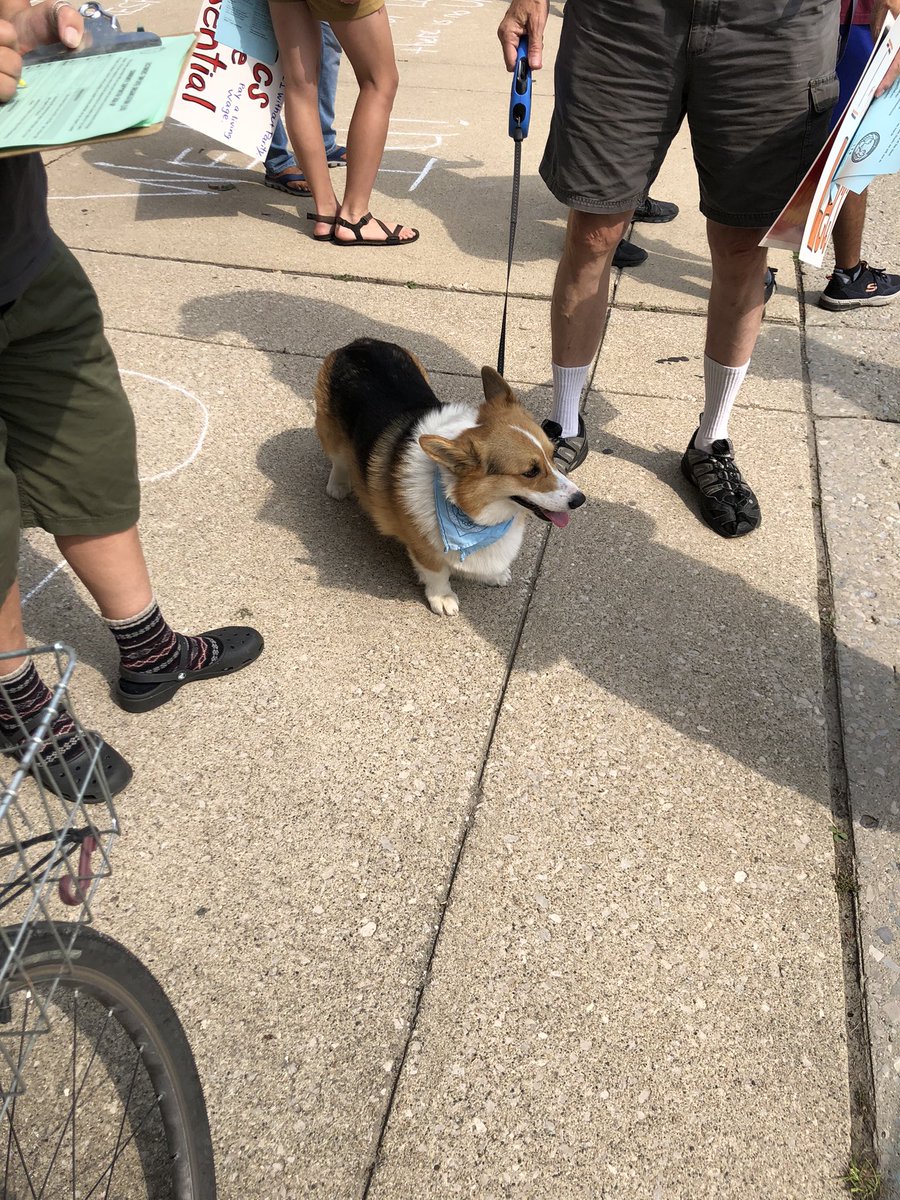 jas_cult's tweet photo. If you don’t #RespectTheLecs #InvestInLecs #InvestInStudents then you’re anti-corgi. I don’t make the rules. @LEOUnionUmich   #DignityParityRespect https://t.co/Z1ZgqsQg90