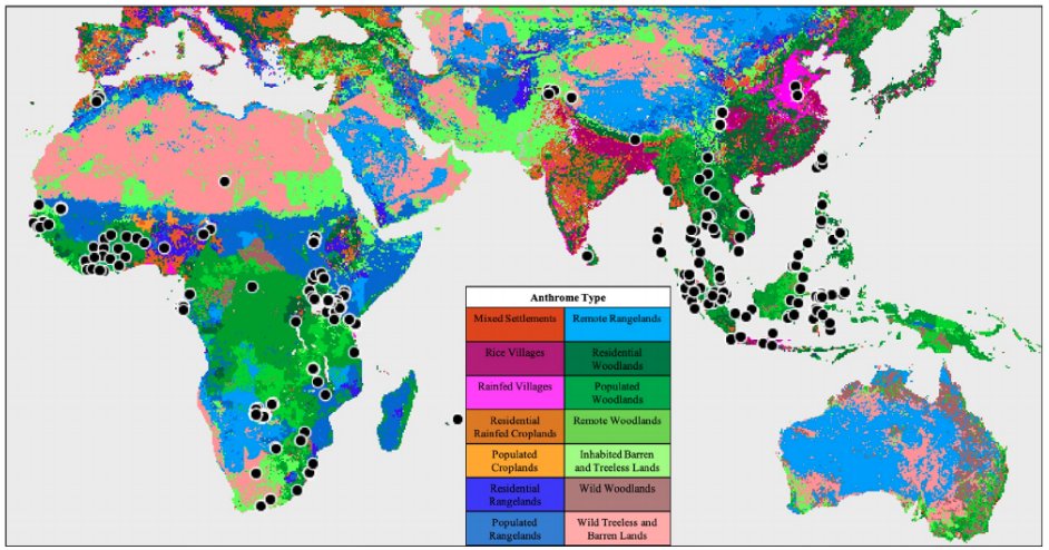 Dr. Stephanie Canington tweet media