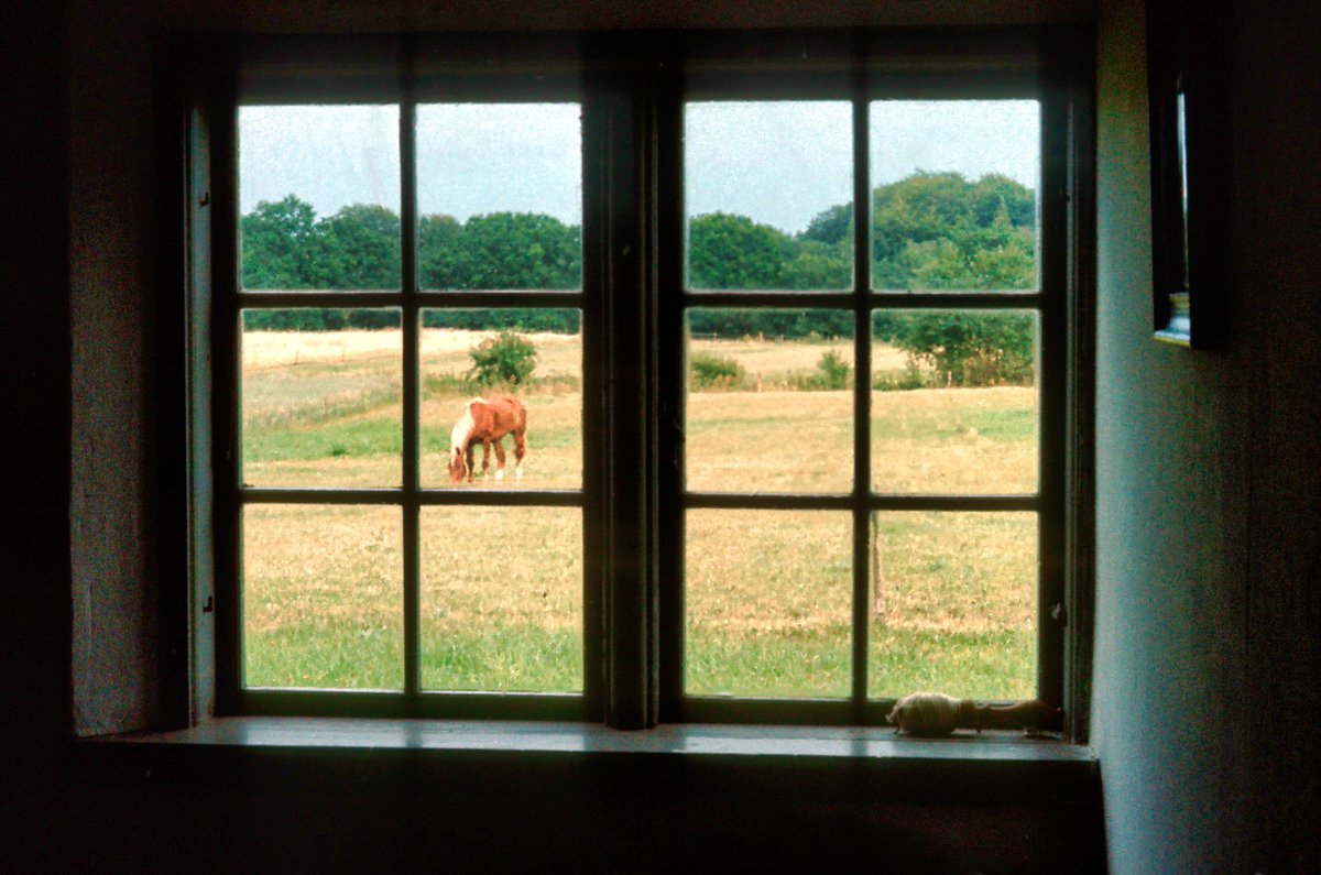 TorbenGetterma2's tweet photo. Old times when horses were still a natural part of the household in the countryside #goodoldtimes #rareouldtimes #horses #worldofhorses #lovehorses #loveshorses https://t.co/zscTUqQC14