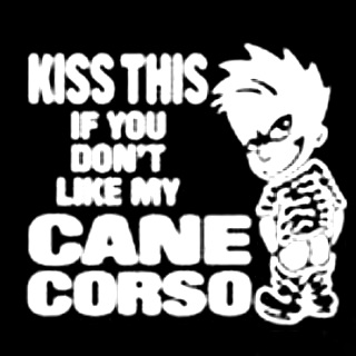 CaneCorsilover's tweet photo. #canecorsoforlife #canecorsonumberone #canecorsothebest #crazycanecorsolady https://t.co/BoRud7cFCh