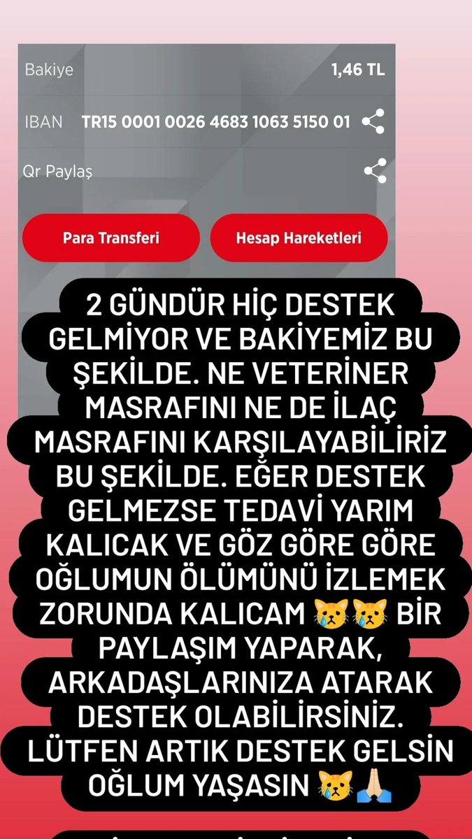Aresfipp's tweet photo. Lütfen bizi görün duyun 🙏🏻😿😿#SunatullahSaadatTutuklansın #AfganlarıAlmayın Tanju Özcan #pazartesi #paribu #AlexTeixeira SOLO 700M VIEWS  Şükrü Sözen  Muharrem  GRATEFUL FOR MC HYUNJIN #HelpGreece #yağmur #dgs2021 #ALTIN https://t.co/VMQVJQYaKo