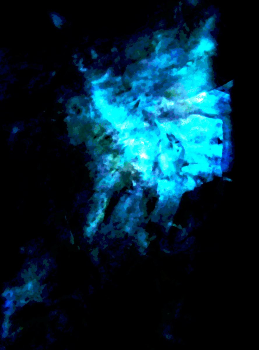 WolfnEgoPrime's tweet image. &apos;No. 439&apos;

#digitalart #obscuration