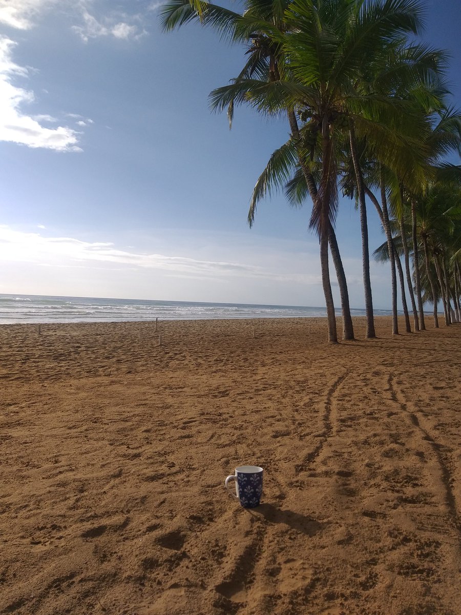 Andresanna0621's tweet photo. "Nada es permanente, lo único constante es el cambio".
Buenos días...💫
#cafeconmar
#playaguacuco
🌴💫🌴💫🌴💫🌴💫🌴💫🌴 https://t.co/IzmOO0a1bY