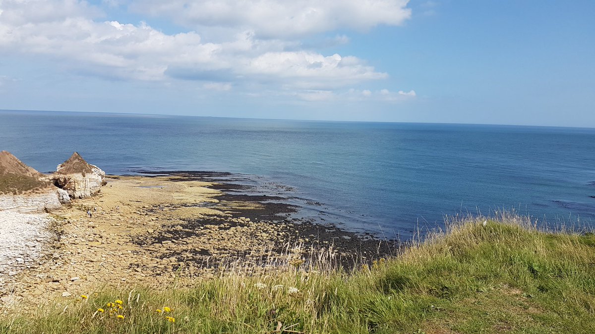 Gill_Briggs's tweet photo. After 2 weeks of covid &amp; isolation, we're recovering. 7 of us &amp; the dog are going slow and breathing deep here...
#grateful #allisgrace #breathingdeep #airIbreathe #spaciousplace #goodformysoul https://t.co/le1W8z1y80