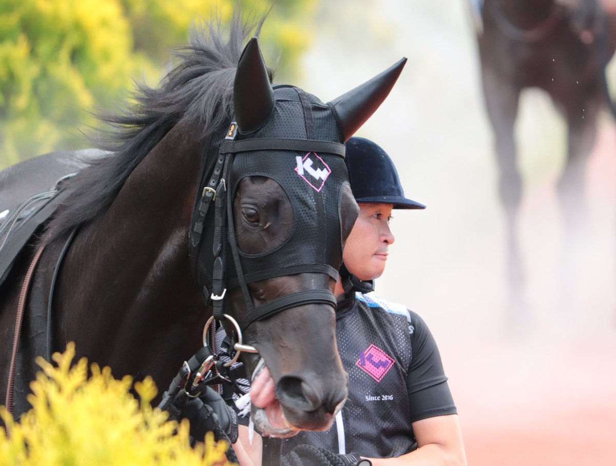 キャロットクラブ