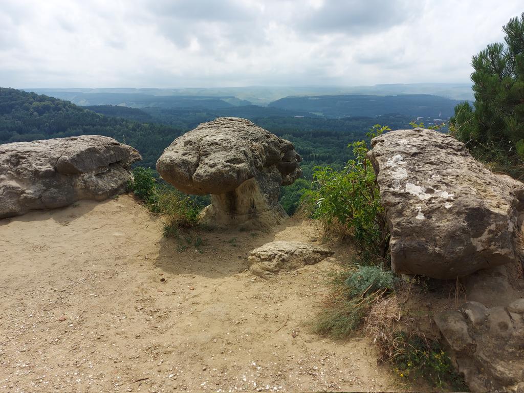 Hydr_V's tweet photo. #Caucasus #geology #sandstone #weathering 
Aeolian weathering in Kislivodsk central park. The weathered rocks are cretaceous sandstones. https://t.co/FbetVv5flc