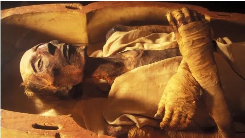 The mummy of Pharaoh Ramses II was issued a passport in 1974 with occupation listed as “King (deceased)” as Egypt required anyone leaving 🇪🇬—living or…