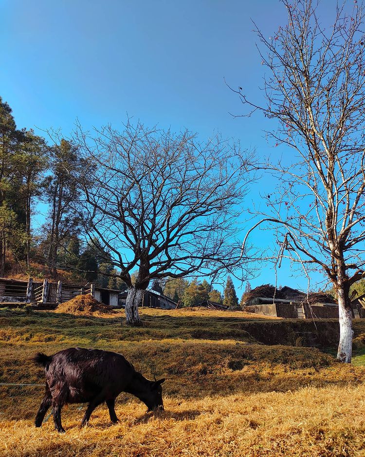 Captured By: Ayush Sharma
(In Instgram@_xaptured._ 
(Link: instagram.com/p/CNws6YjFWy2/)

Location: Sohra

#justshillong #repost
