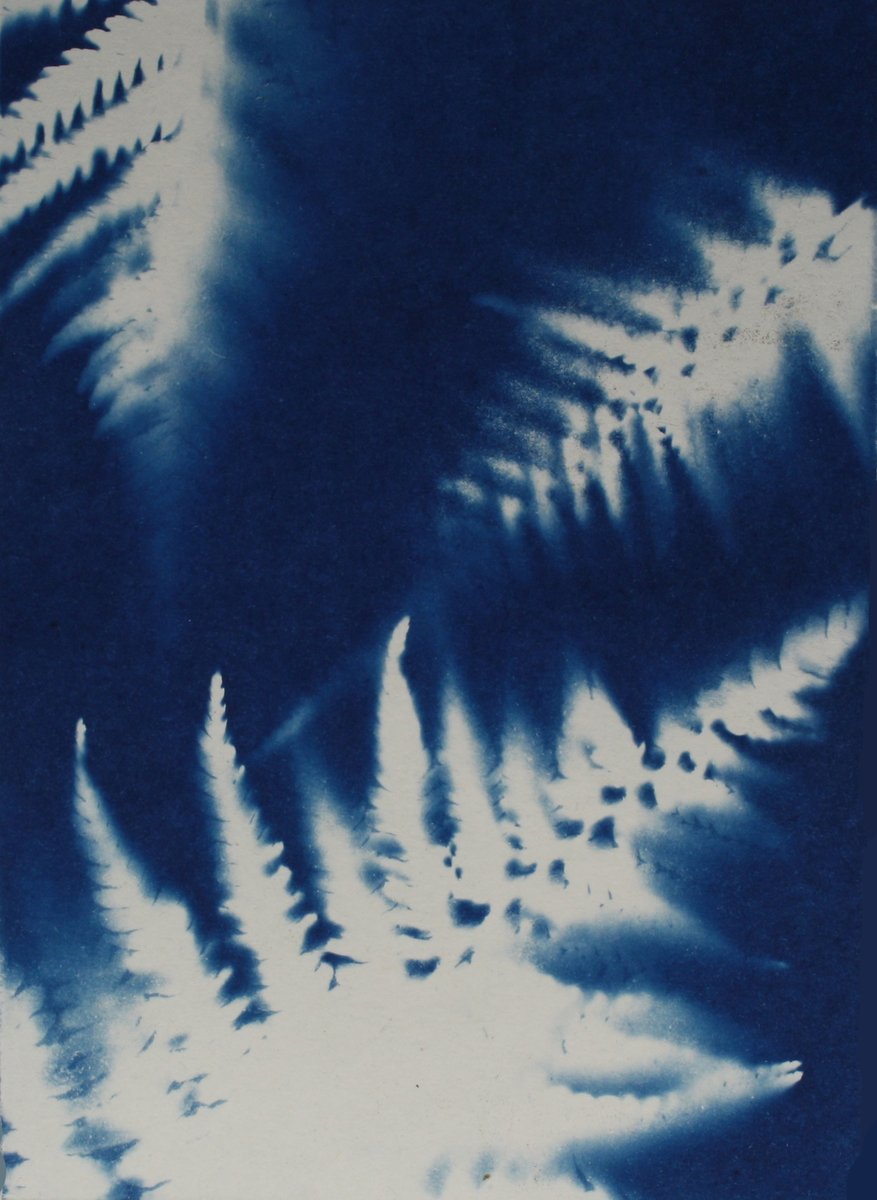 JQCemeteries's tweet photo. Cyanotypes are an early photography technique- producing an image by placing objects on light sensitive paper. Recently @gemmaince made these using ivy and ferns! Fancy learning how? We have spaces left for our workshop with @jo_gane on Wed 12th Aug at 3pm
https://t.co/4rN6hNGmQp https://t.co/lvwFCE6tbK