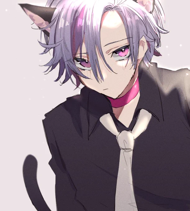 🐱 